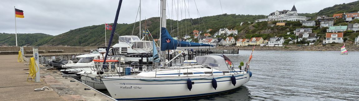 23919.jpg